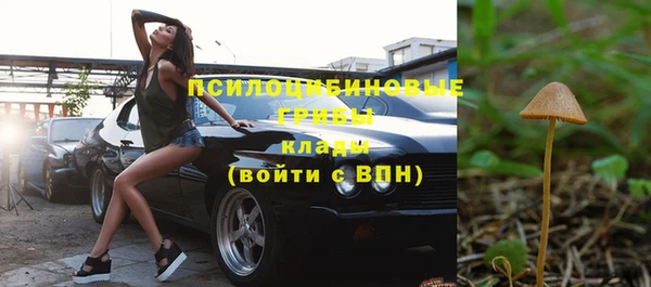 spice Абинск