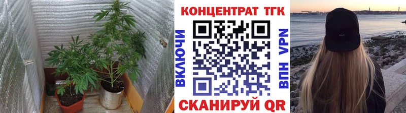 ТГК гашишное масло  Инза 